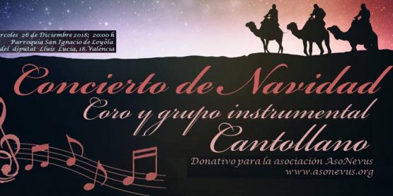 Concierto a favor de Asonevus1