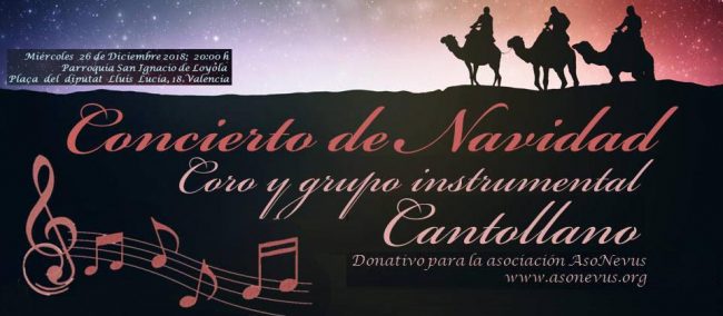 Concierto a favor de Asonevus1